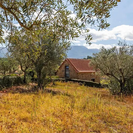 Farm stay Raizes Da Vinha - Refugio Na Natureza Da Serra Da Estrela By Matias Nature *