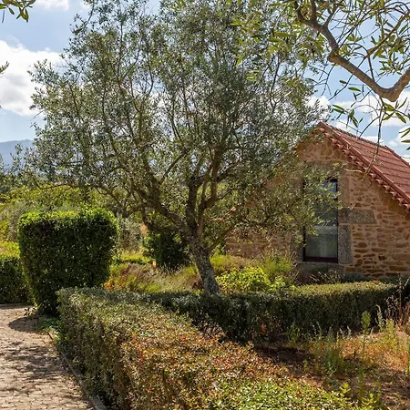 Raizes Da Vinha - Refugio Na Natureza Da Serra Da Estrela By Matias Nature Farm stay