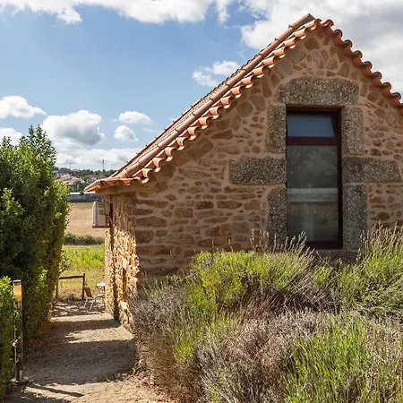 Farm stay Raizes Da Vinha - Refugio Na Natureza Da Serra Da Estrela By Matias Nature *