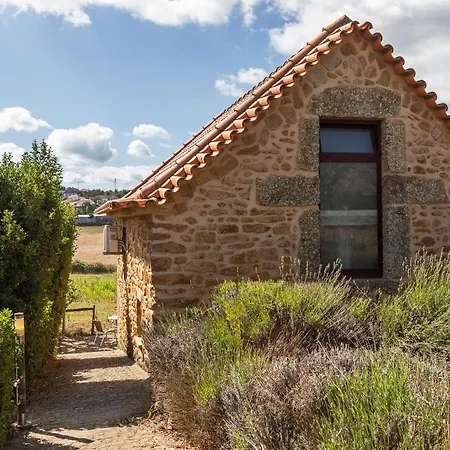 Vakantieboerderij Matias Nature - Raizes Da Vinha - Boutique Mountain In Serra Da Estrela, Seia *