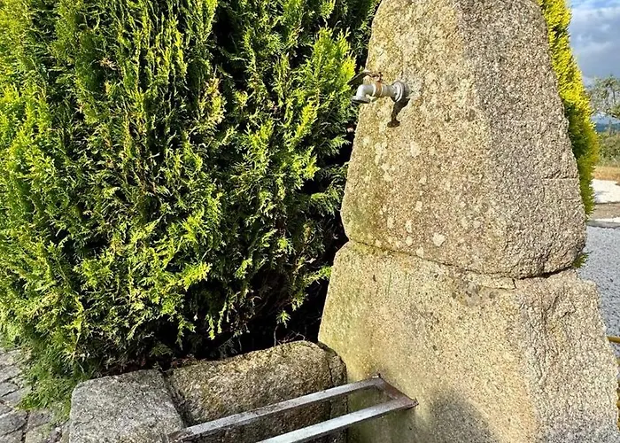 Matias Nature - Raizes Da Vinha - Boutique Mountain In Serra Da Estrela, Seia Фермерский дом